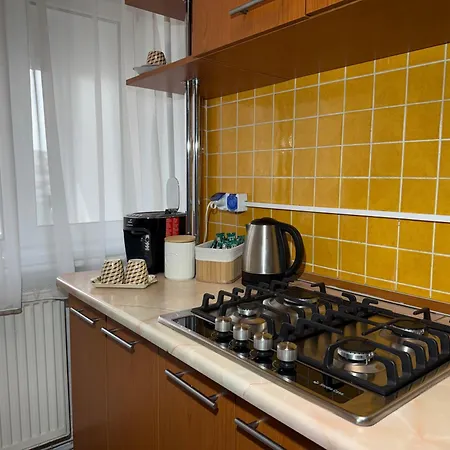 Apartamento Signature Loft By Mario Timisoara